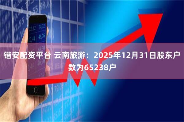 锴安配资平台 云南旅游：2025年12月31日股东户数为65238户