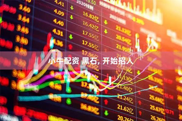 小牛配资 黑石, 开始招人