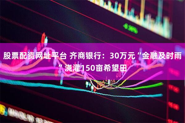 股票配资网址平台 齐商银行：30万元“金融及时雨”浇灌150亩希望田