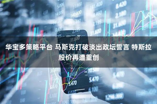 华宝多策略平台 马斯克打破淡出政坛誓言 特斯拉股价再遭重创