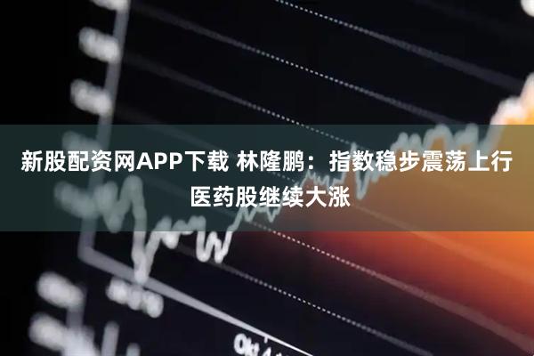 新股配资网APP下载 林隆鹏：指数稳步震荡上行 医药股继续大涨