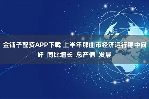 金铺子配资APP下载 上半年那曲市经济运行稳中向好_同比增长_总产值_发展